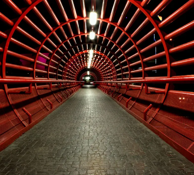 steel-sacf